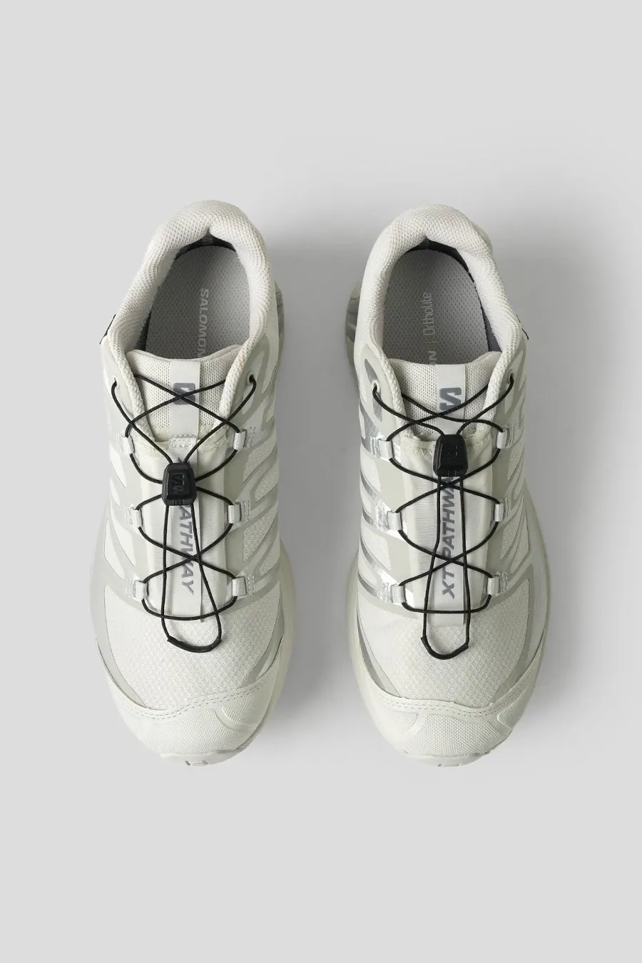 SNEAKERS XT-PATHWAY GTX LUNAR ROCK, ALLOY ET FTW SILVER
