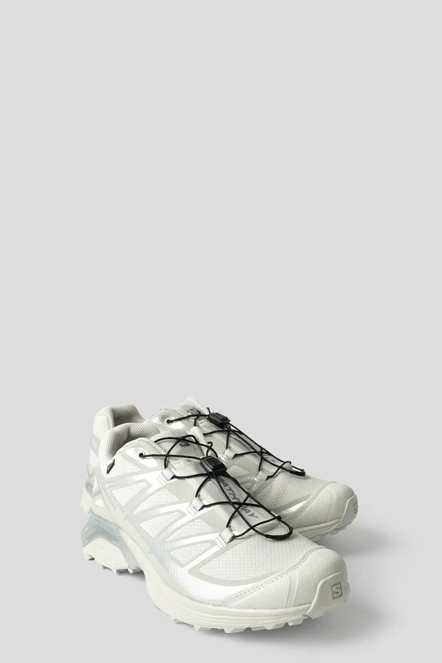 SNEAKERS XT-PATHWAY GTX LUNAR ROCK, ALLOY ET FTW SILVER